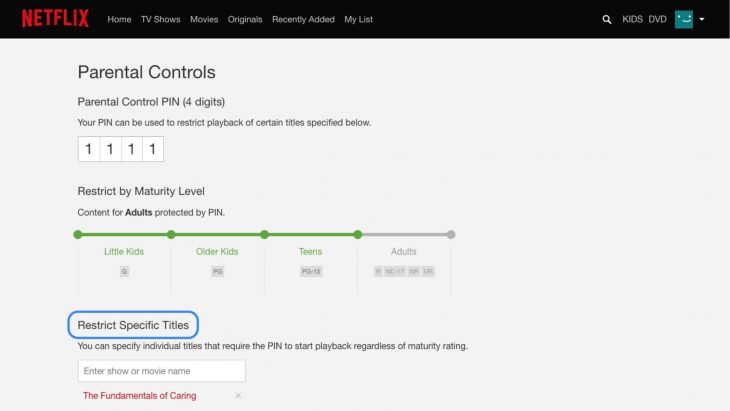 Controlo Parental PIN Netflix